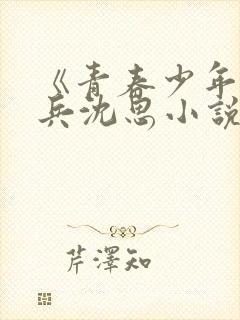 《青春少年》李兵沈思小说封面