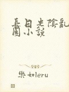 长日光阴乱作一团小说封面