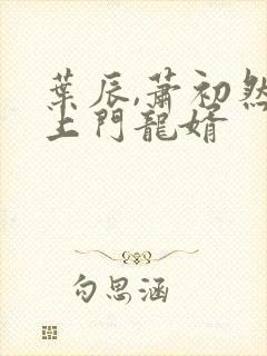 叶辰,萧初然 上门龙婿