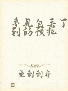 梦见包丢了找不到的预兆