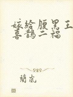 嫁给腹黑王爷后喜鹊二福