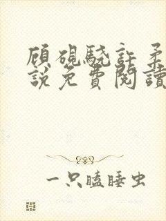 顾砚骁许柔汐小说免费阅读最新章节封面