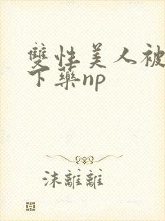 双性美人被村长下药np