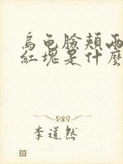 乌龟脸颊两侧有红块是什么龟