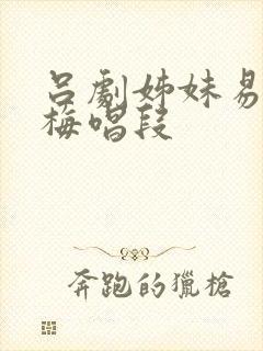 吕剧姊妹易嫁素梅唱段