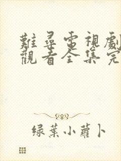 难寻电视剧免费观看全集完整版