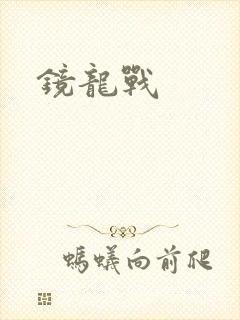 镜龙战封面