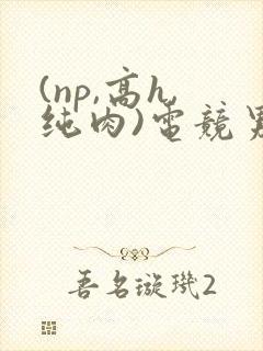 (np,高h,纯肉)电竞男男