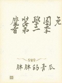 魔装学园免费观看第二季