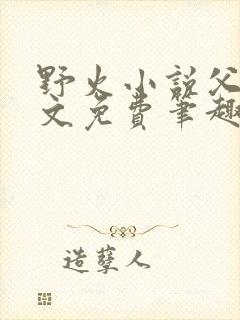 野火小说父女全文免费笔趣阁封面