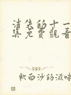 消失的十一层全集免费观看完整版