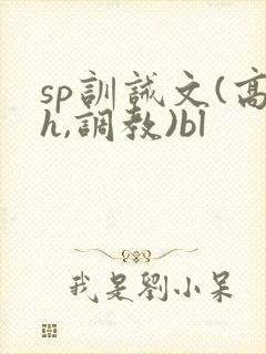sp训诫文(高h,调教)bl