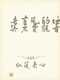 去有风的地方全集免费观看电视剧