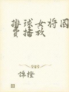 排球女将国语免费播放