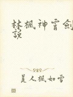 林枫神霄剑宗小说封面