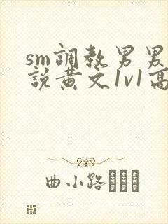 sm调教男男小说黄文1v1高h强制