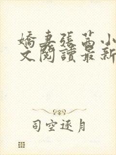 娇妻张茜小说全文阅读最新章节更新