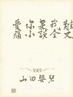 爱你是我难言的痛小说全文免费阅读