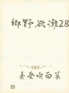 乡野欲潮28章