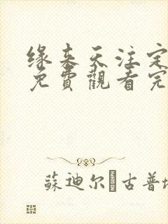 缘来天注定泰剧免费观看完整版