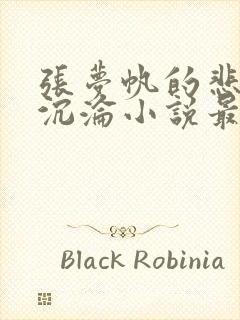 张梦帆的悲哀与沉沦小说最新章节更