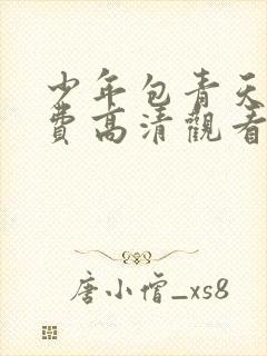 少年包青天2免费高清观看封面