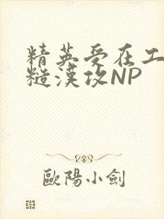 精英受在工地被糙汉攻NP