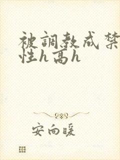 被调教成禁脔双性h高h封面