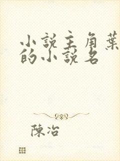 小说主角叶无道的小说名