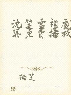 沈笑电视剧40集免费播放