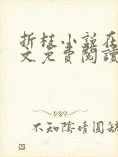 折枝小说在线全文免费阅读无弹窗