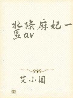 北条麻妃一区二区av