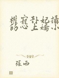 权宠卦妃摄政王的心上娇小说