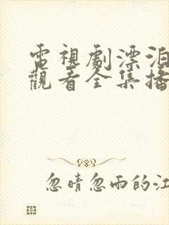 电视剧漂泊免费观看全集播放