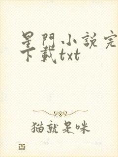 星门小说完整版下载txt