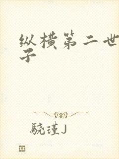 纵横第二世界宽子