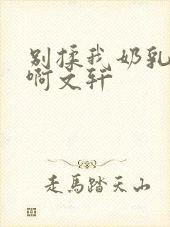 别揉我奶乳嗯～啊文轩