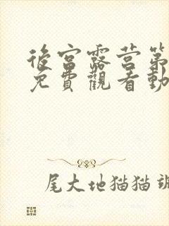 后宫露营第一季免费观看动漫