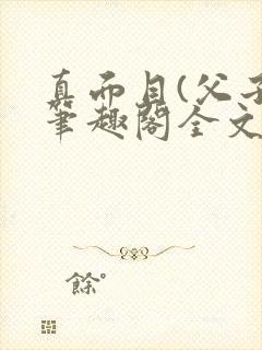 真面目(父子)笔趣阁全文