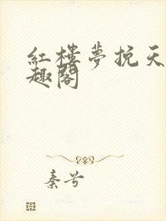 红楼梦挽天倾笔趣阁