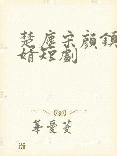 楚尘宋颜镇国神婿短剧