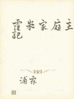 霍米家庭主妇日记封面