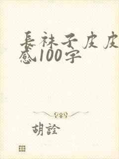 长袜子皮皮读后感100字封面