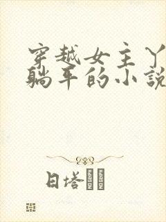 穿越女主丫鬟后躺平的小说