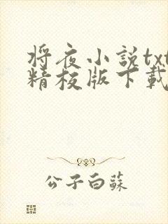 将夜小说txt精校版下载