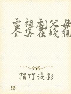 电视剧父母爱情全集在线观看40集封面