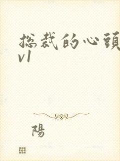 总裁的心头宝1v1