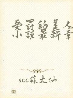 受罚的美人恩欢小说最新章节内容