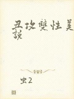 丑攻双性美人小说封面