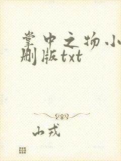 掌中之物小说未删版txt